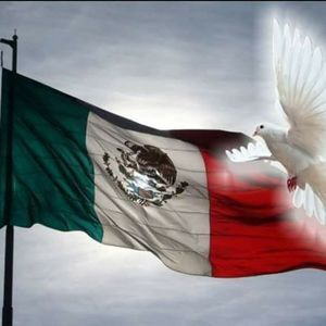 Meet your Posher, Ramon